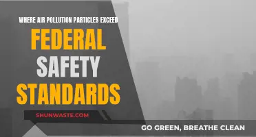 Air Pollution Crisis: Exceeding Federal Safety Standards