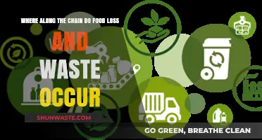 Unveiling the Critical Points of Food Loss and Waste in the Supply Chain