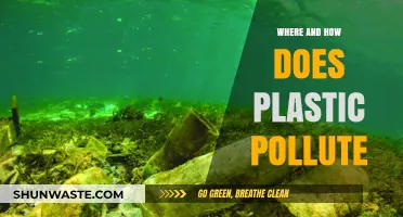 Plastic Pollution: A Global Crisis
