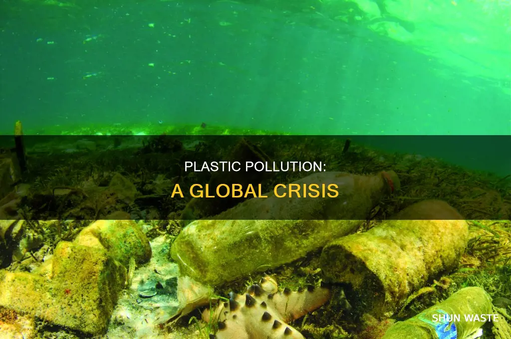 where and how does plastic pollute