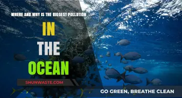Ocean Pollution: Where and Why It's Worst