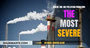 Air Pollution's Worst Offenders: A Global Crisis