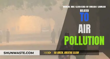 Breast Cancer Clusters: Air Pollution's Impact