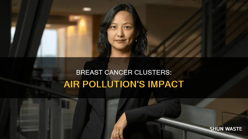 where are clusters of breast cancer related to air pollution
