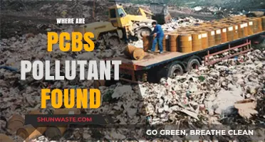 PCBs: Persistent Pollutants in Our Environment