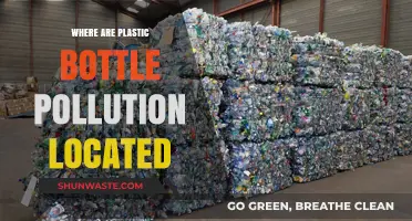 Plastic Bottle Pollution: A Global Crisis