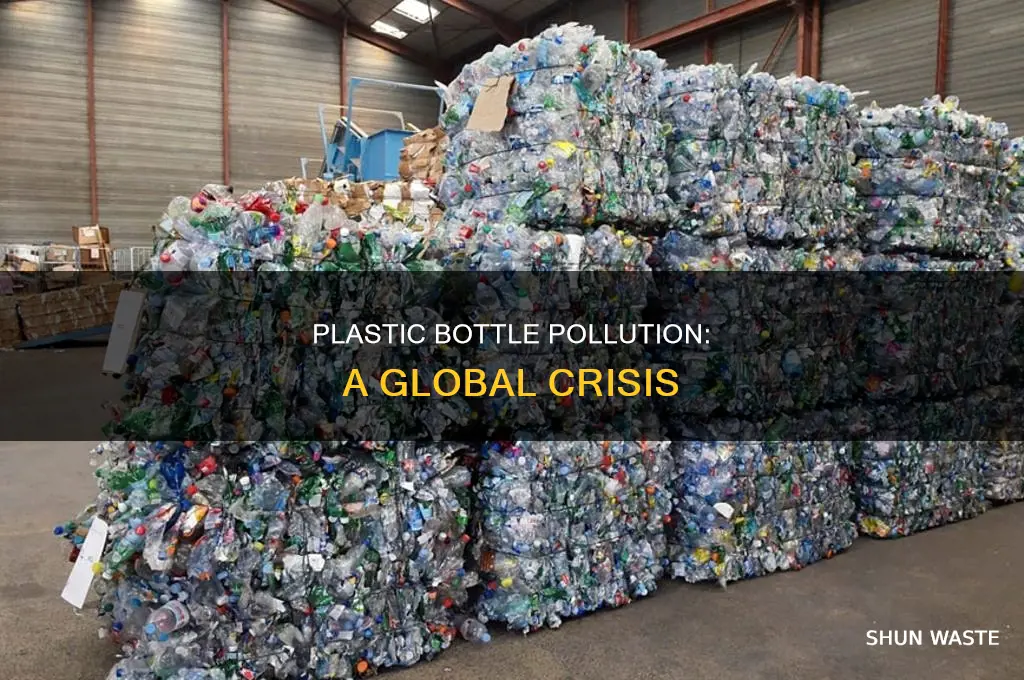 where are plastic bottle pollution located