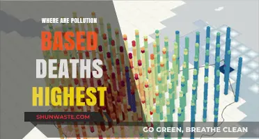 Pollution's Deadliest Impact: Where Are Most Lives Lost?
