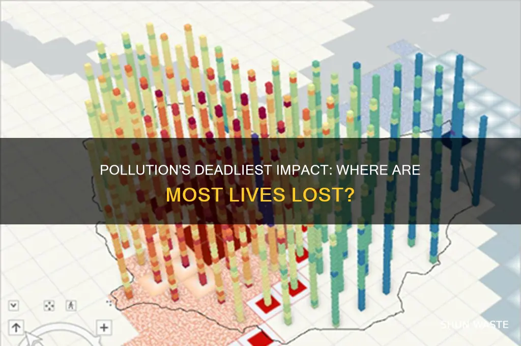 where are pollution based deaths highest