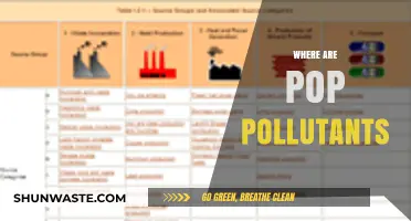 Pop Pollutants: Where Are They Hiding?