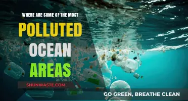 Ocean Pollution: The Most Toxic Zones