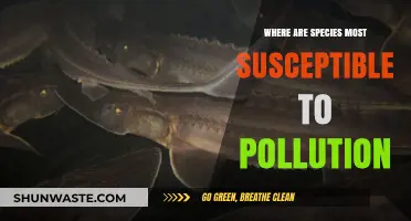 Vulnerable Species: Pollution's Most Susceptible Victims