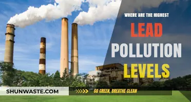 Lead Pollution: Most Affected Areas
