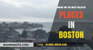 Boston's Pollution Hotspots: A Comprehensive Overview