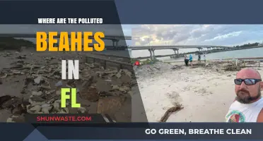 Florida's Polluted Beaches: Where Are They?