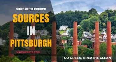 Pittsburgh Pollution: What's the Source?