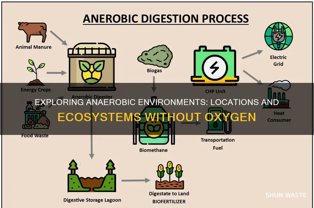 where can anaerobic environments be found