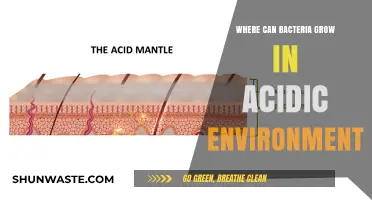 Thriving in Acidity: Unveiling Bacteria's Survival in Extreme Environments