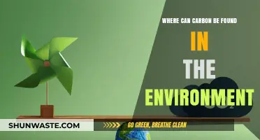 Exploring Carbon's Presence: Where It Exists in Our Environment