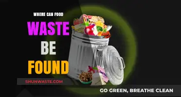 Uncovering Hidden Food Waste: A Comprehensive Guide