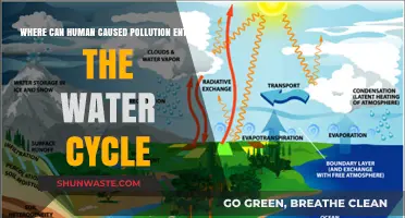 Human Pollution: Where It Enters the Water Cycle