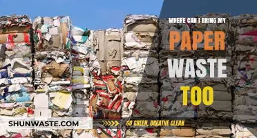 Eco-Friendly Disposal: Where to Recycle Your Paper Waste