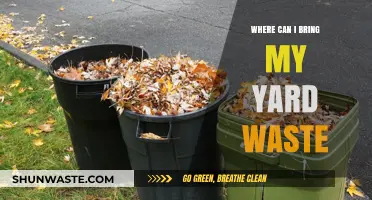 Eco-Friendly Disposal: Where to Take Your Yard Waste