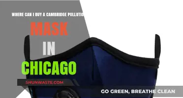 Chicago's Best Spots for Cambridge Pollution Masks