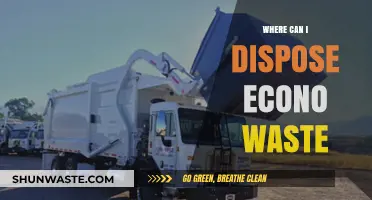 Eco-Friendly Disposal: Your Guide to Responsible Econo Waste Management