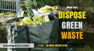 Eco-Friendly Disposal: Your Guide to Green Waste Management