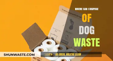 Eco-Friendly Disposal: A Guide to Properly Handling Dog Waste