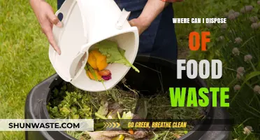 Eco-Friendly Food Waste Disposal: A Comprehensive Guide