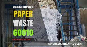 Eco-Friendly Disposal: Your Guide to Paper Waste Recycling in 60610