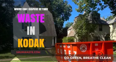 Eco-Friendly Yard Waste Disposal Options in Kodak