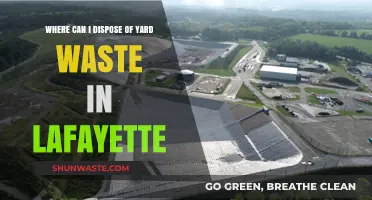 Lafayette's Guide to Yard Waste Disposal: Keep Your Garden Clean!