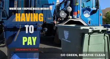 Eco-Friendly Waste Disposal: Free and Responsible Options Near You