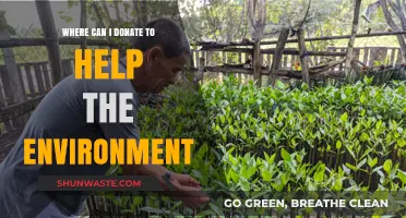 Eco-Friendly Giving: Top Places to Donate for Environmental Conservation
