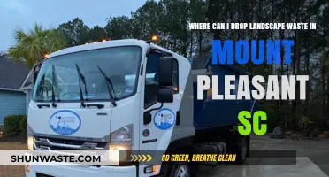 Where to Dispose of Landscape Waste in Mount Pleasant, SC