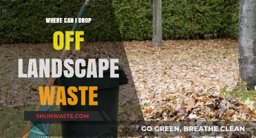 Where to Dispose of Landscape Waste: A Comprehensive Guide