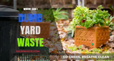 Eco-Friendly Disposal: Where to Dump Your Yard Waste Responsibly