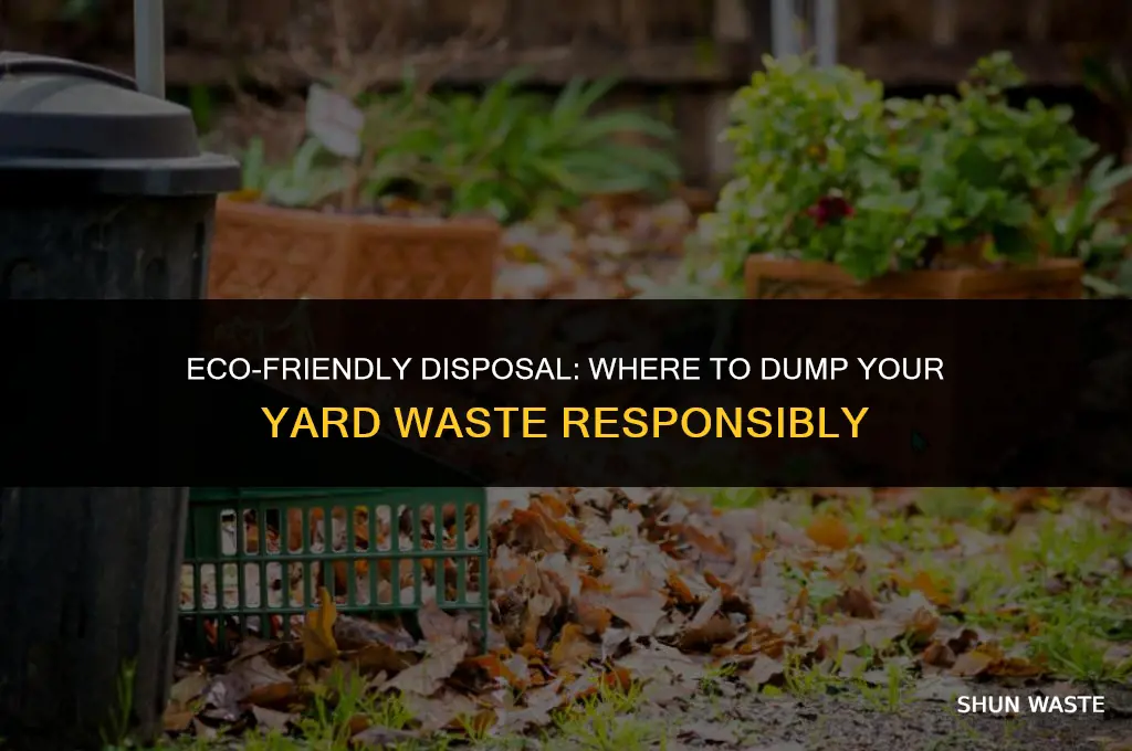 where can i dumb yard waste