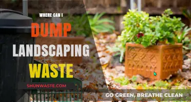 Eco-Friendly Disposal: Where to Dump Landscaping Waste Responsibly