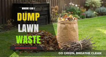 Eco-Friendly Disposal: Where to Dump Lawn Waste Responsibly