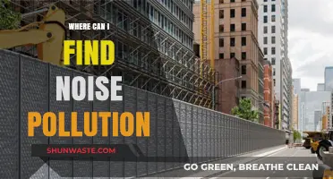 Noise Pollution: Sources and Solutions for a Quieter World