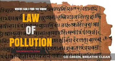 Uncover the Hindu Law of Pollution: A Guide to Sources