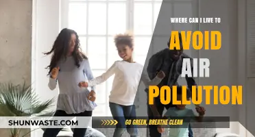 Breathing Clean Air: Your Guide to Pollution-Free Living