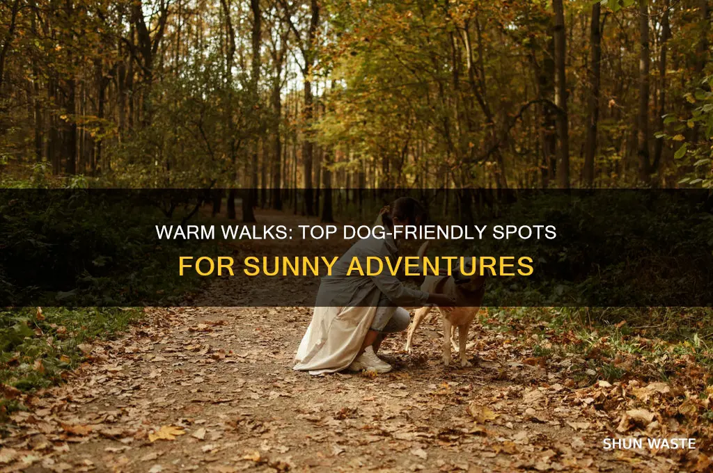 where can i walk my dog in a warm environment