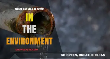 Uncovering Hidden Dangers: Where Lead Lurks in Our Environment