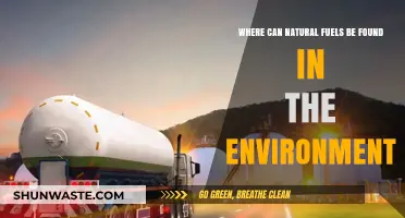 Exploring Earth's Hidden Treasures: Locating Natural Fuels in the Environment
