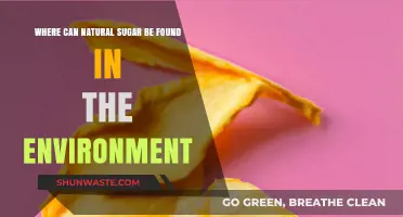 Exploring Nature's Sweet Side: Sources of Natural Sugar in the Environment